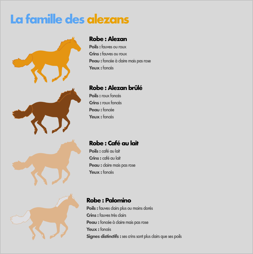 Les robes qui découlent de la famille des alezans Les robes qui découlent de la famille des alezans