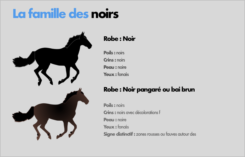 Les robes qui découlent de la famille des noirs Les robes qui découlent de la famille des noirs