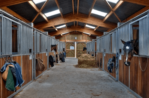 Ecuries d'intérieur, des box sont installés de chaque côté d'une allée centrale Ecuries d'intérieur, des box sont installés de chaque côté d'une allée centrale