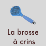 La brosse à crins La brosse à crins