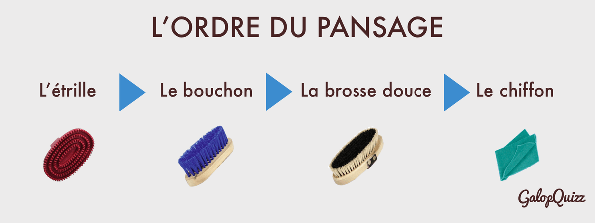 Galop 1 : le pansage Galop 1 : le pansage