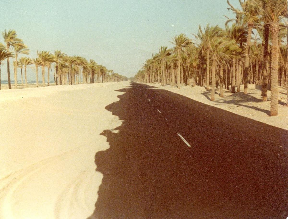 Photo by Mark Vandermaas. 1978 El Arish on way to Gaza. Mediterranean Sea on left. Photo by Mark Vandermaas. 1978 El Arish on way to Gaza. Mediterranean Sea on left.