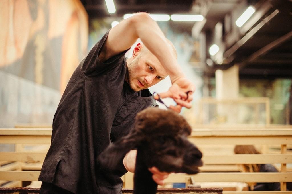 Pet Grooming Salon Pet Grooming Salon