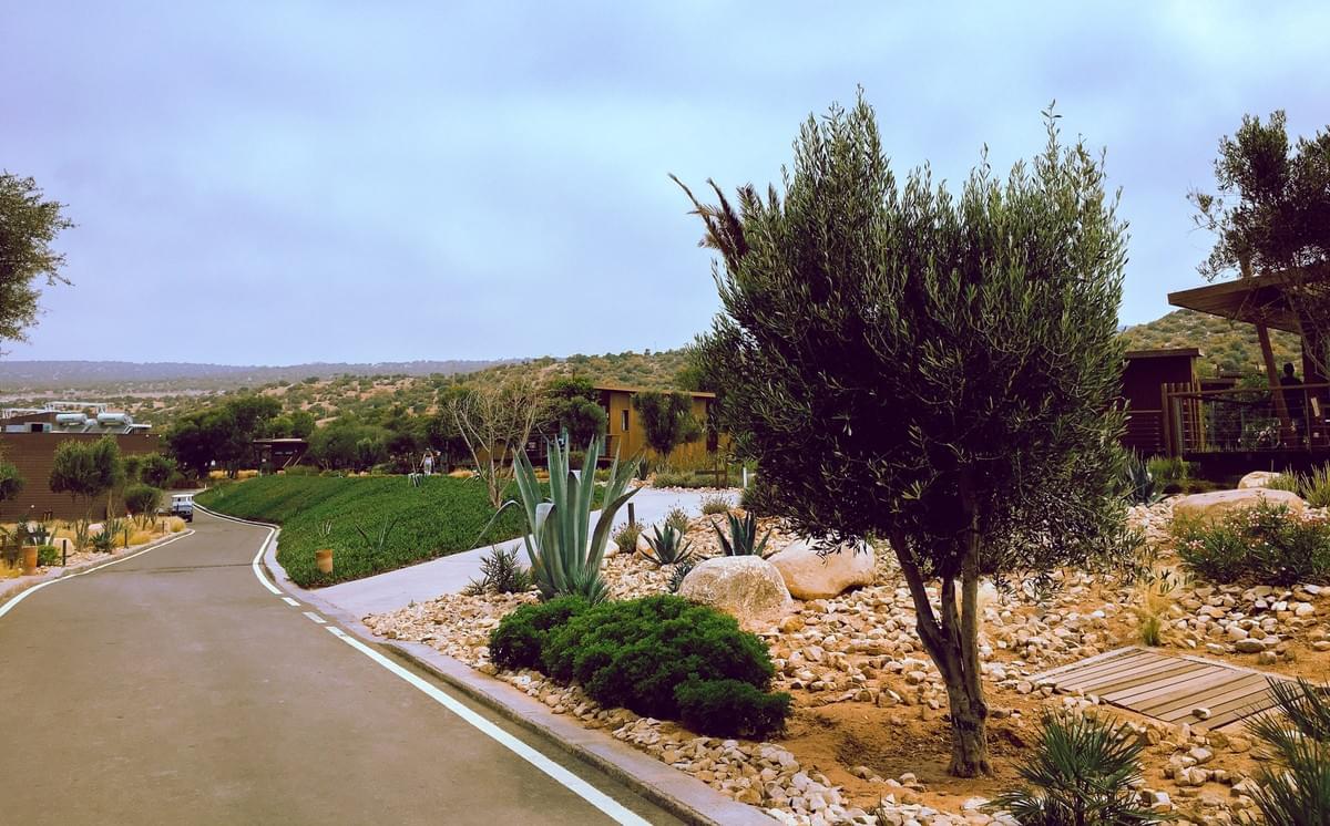 Sol House Taghazout Bay road through grass and desert landscape with bungalows in the distance hotel agadir Sol House Taghazout Bay road through grass and desert landscape with bungalows in the distance hotel agadir