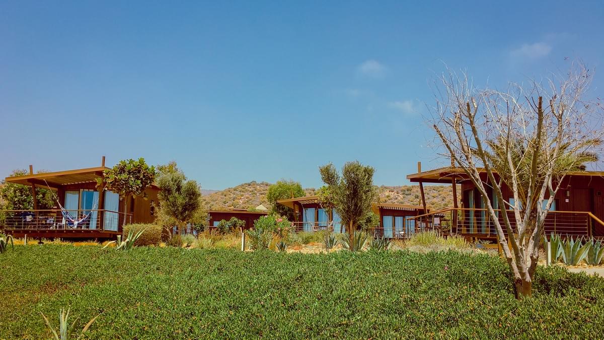 Sol House Taghazout Bay bungalows with windows looking at the grass and trees at Sol House Taghazout bay Sol House Taghazout Bay bungalows with windows looking at the grass and trees at Sol House Taghazout bay