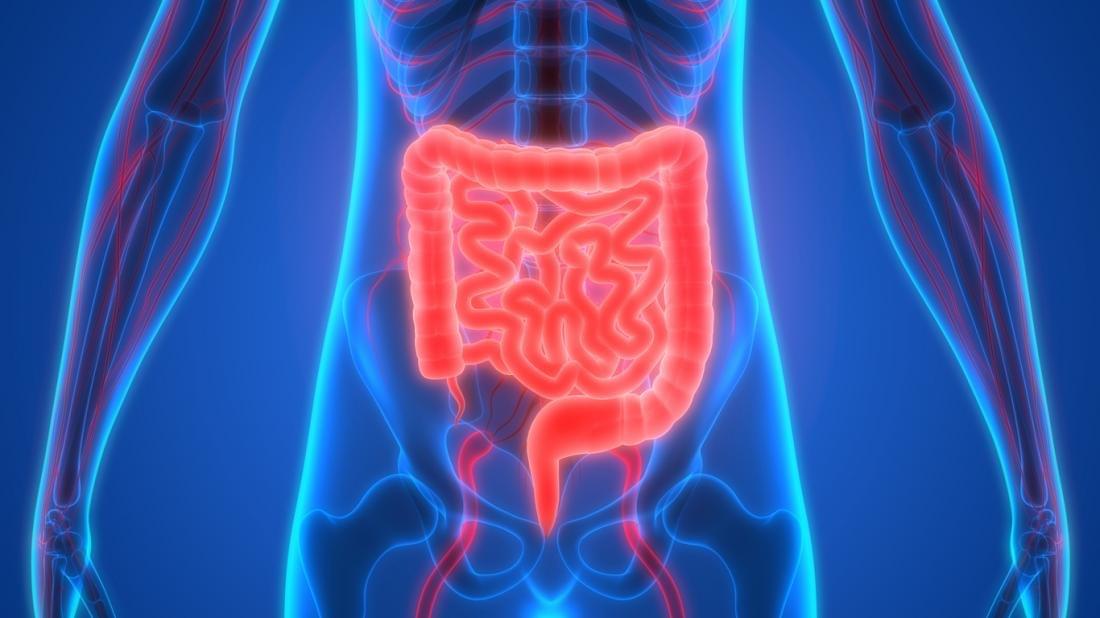 how to create a perfect healthy digestion with ayurveda and naturopathy how to create a perfect healthy digestion with ayurveda and naturopathy