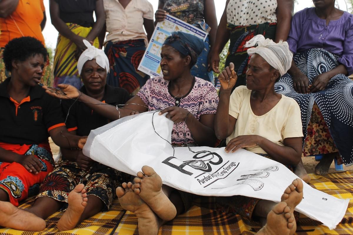 The Harvest Fund's farmers during training on how to use PICS bags for hermetic storage. The Harvest Fund's farmers during training on how to use PICS bags for hermetic storage.