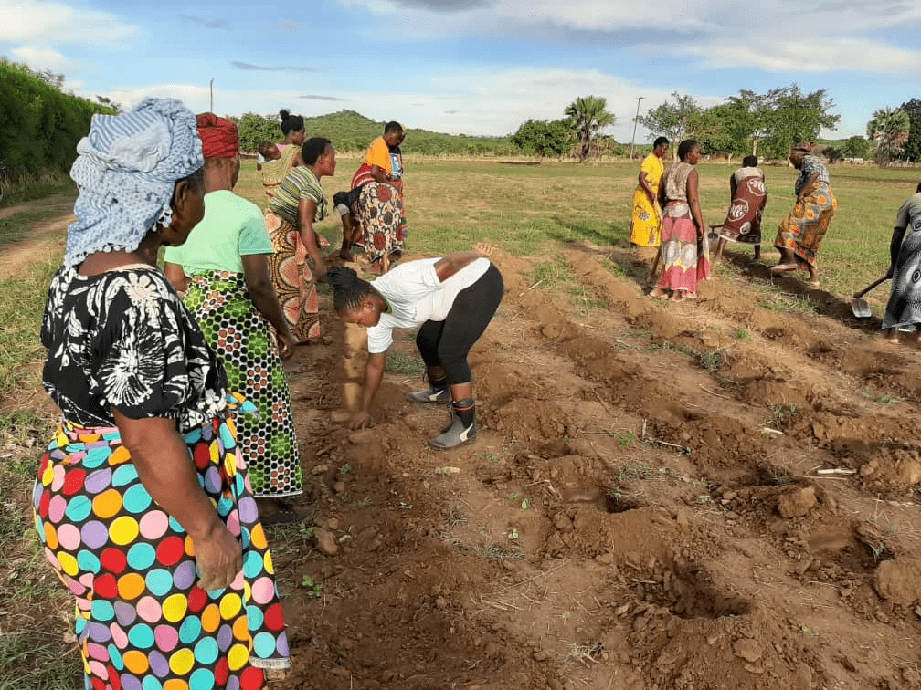 The Harvest Fund's cohort farming on their land. The Harvest Fund's cohort farming on their land.