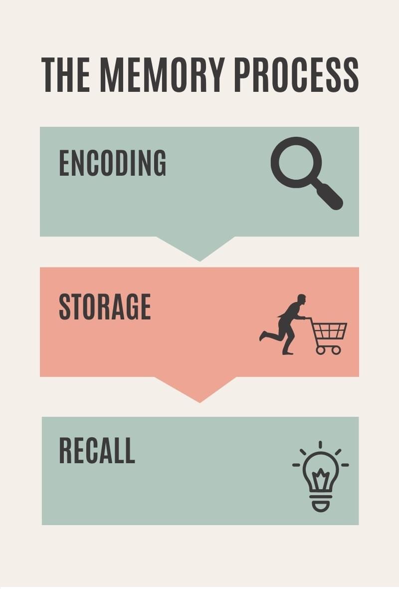 Memory Processes Memory Processes
