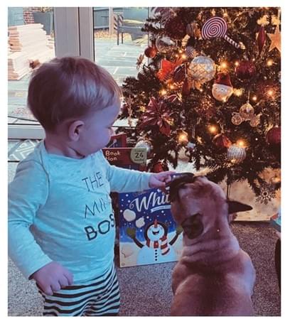 Tom's young son and dog play by the Christmas Tree Tom's young son and dog play by the Christmas Tree
