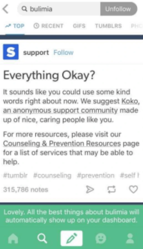 Screenshot of Tumblr support message that appears when user searches "bulimia" Screenshot of Tumblr support message that appears when user searches "bulimia"