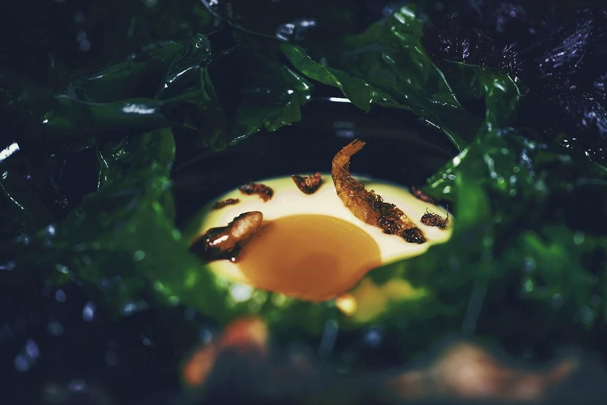 UNDER: Europe's First Underwater Restaurant UNDER: Europe's First Underwater Restaurant