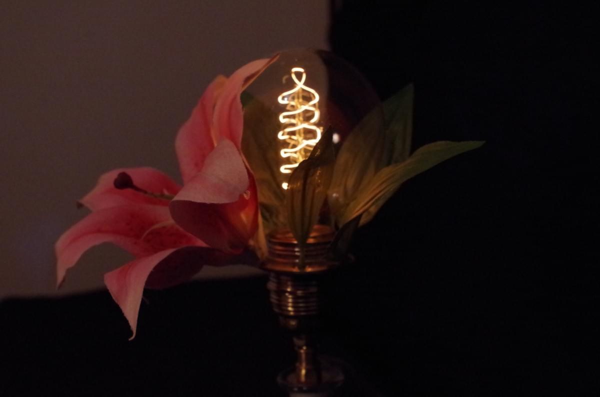 Le Bazaar De Leo - Tribute lamp to Lady Ada Lovelace Le Bazaar De Leo - Tribute lamp to Lady Ada Lovelace