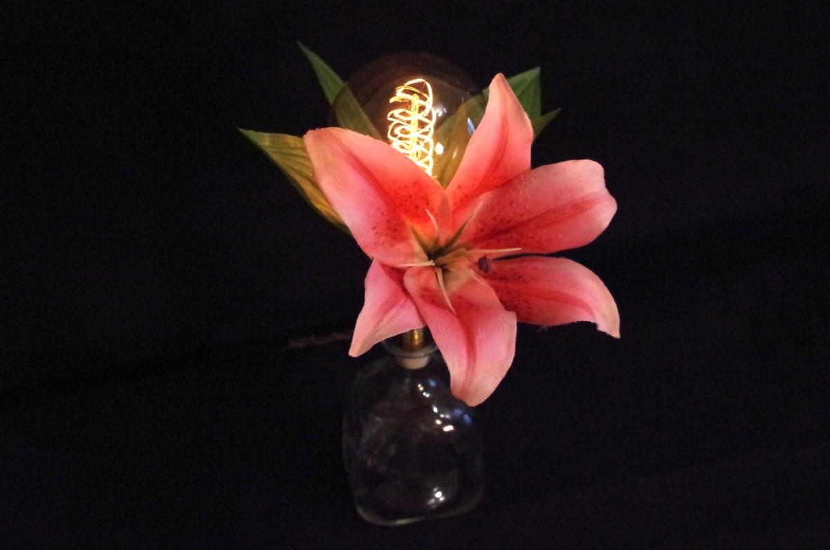 Le Bazaar De Leo - Tribute lamp to Lady Ada Lovelace Le Bazaar De Leo - Tribute lamp to Lady Ada Lovelace