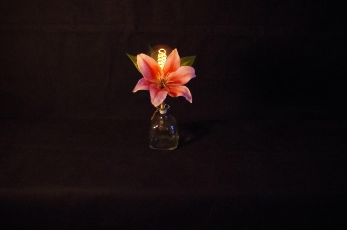 Le Bazaar De Leo - Tribute lamp to Lady Ada Lovelace Le Bazaar De Leo - Tribute lamp to Lady Ada Lovelace