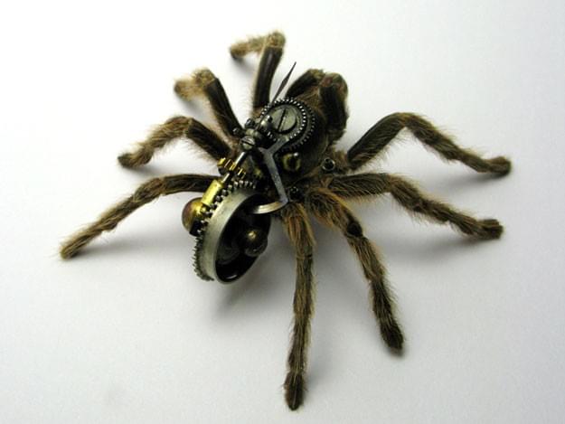 steampunk wild robot spider steampunk wild robot spider