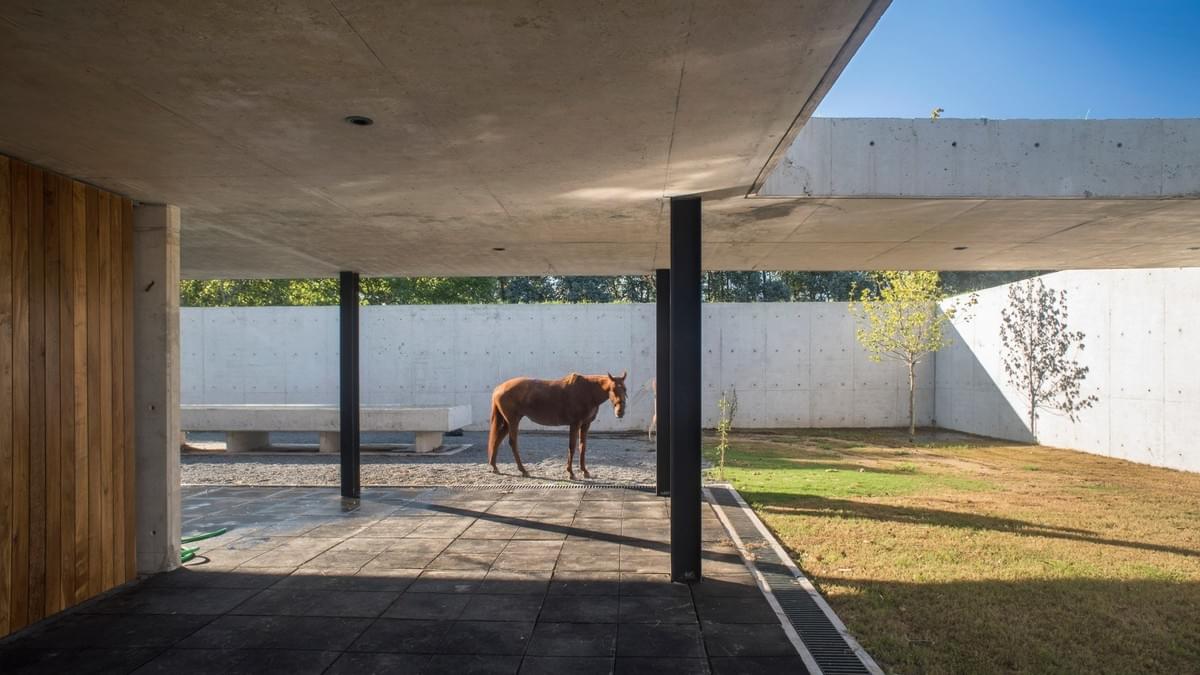 Stunning concrete stables features grassy roof for horses to graze Estudio Ramos Stunning concrete stables features grassy roof for horses to graze Estudio Ramos