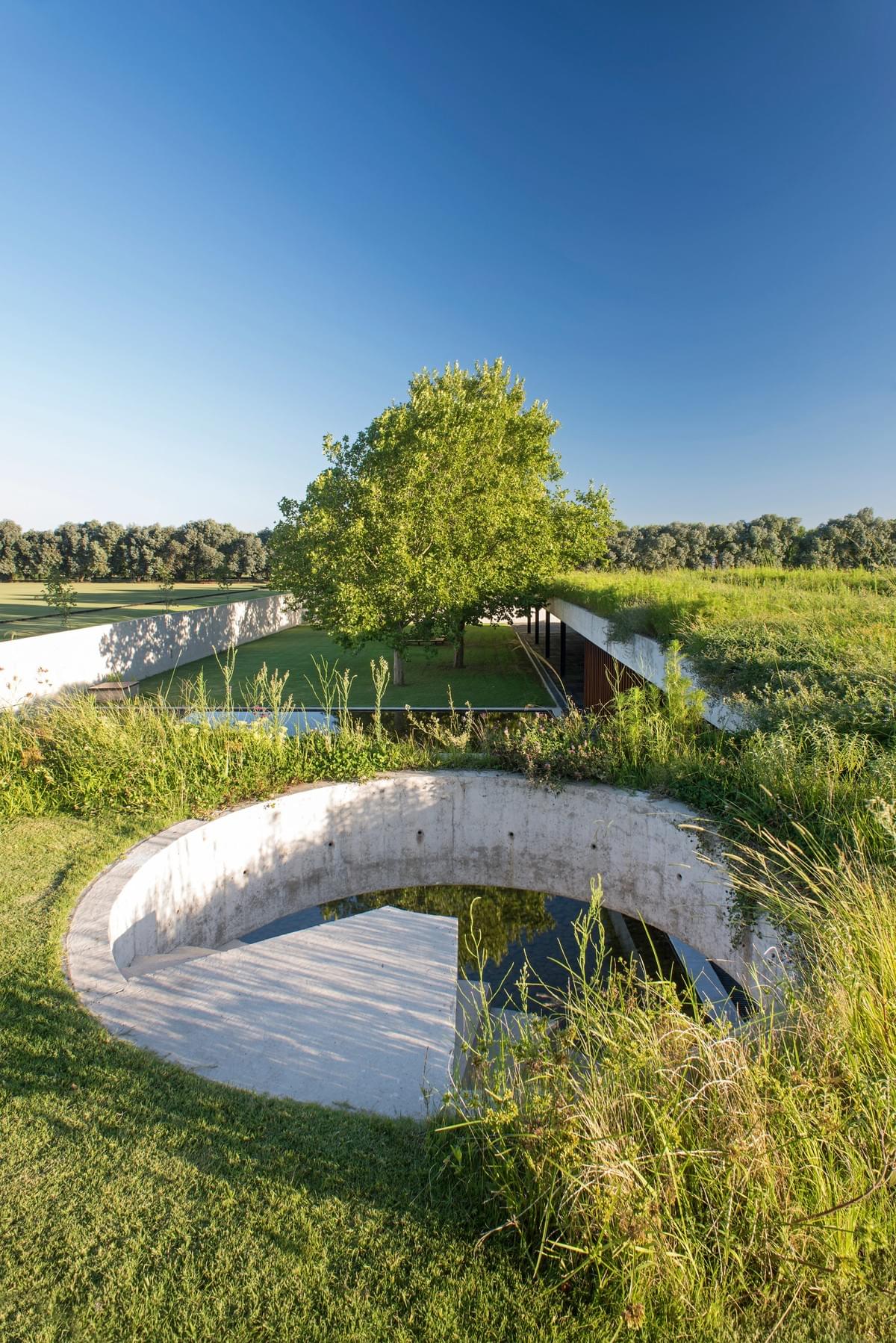 Stunning concrete stables features grassy roof for horses to graze Estudio Ramos Stunning concrete stables features grassy roof for horses to graze Estudio Ramos
