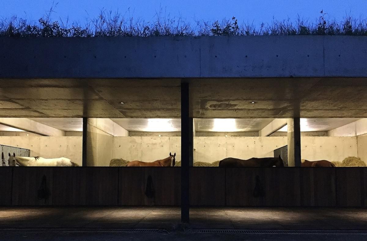 Stunning concrete stables features grassy roof for horses to graze Estudio Ramos Stunning concrete stables features grassy roof for horses to graze Estudio Ramos