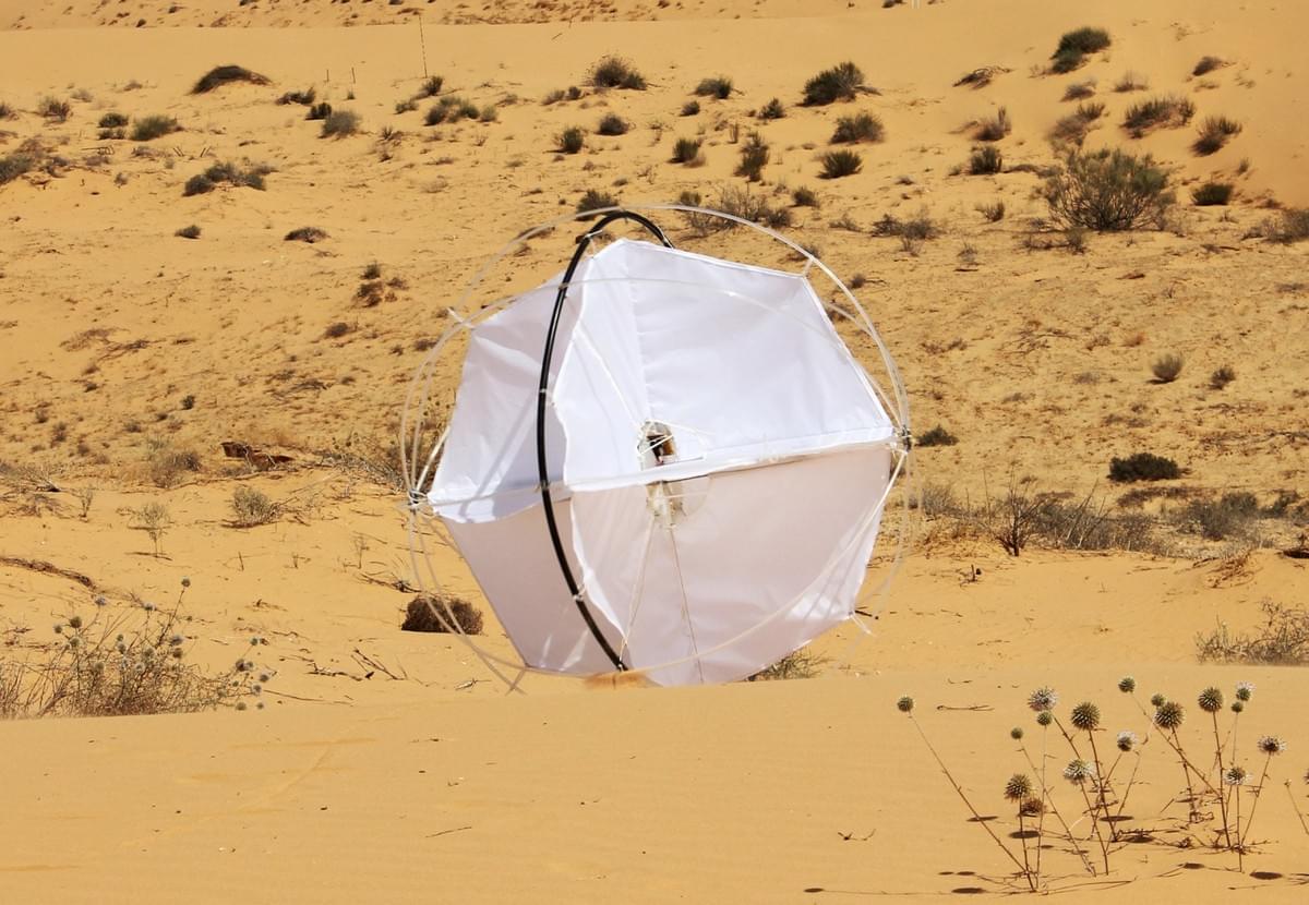 tumbleweed robot tumbleweed robot