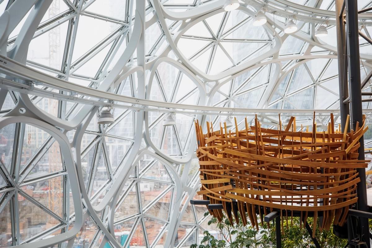 Plant-filled spheres open at Amazon headquarters in Seattle Plant-filled spheres open at Amazon headquarters in Seattle