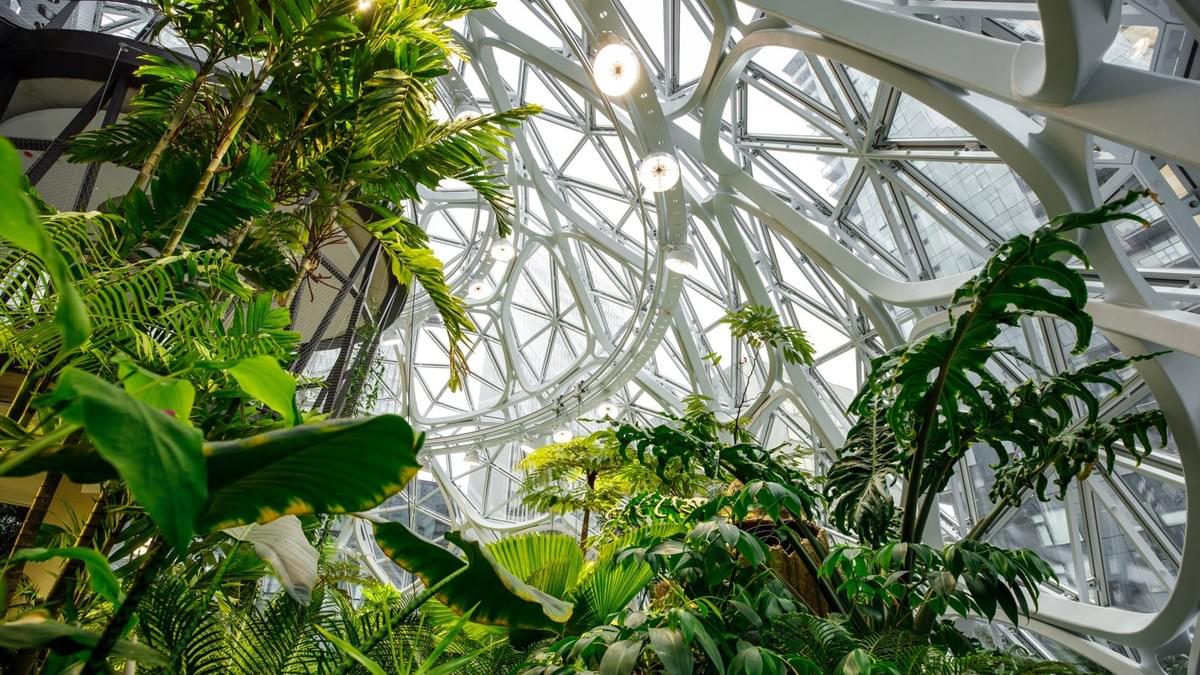 Plant-filled spheres open at Amazon headquarters in Seattle Plant-filled spheres open at Amazon headquarters in Seattle