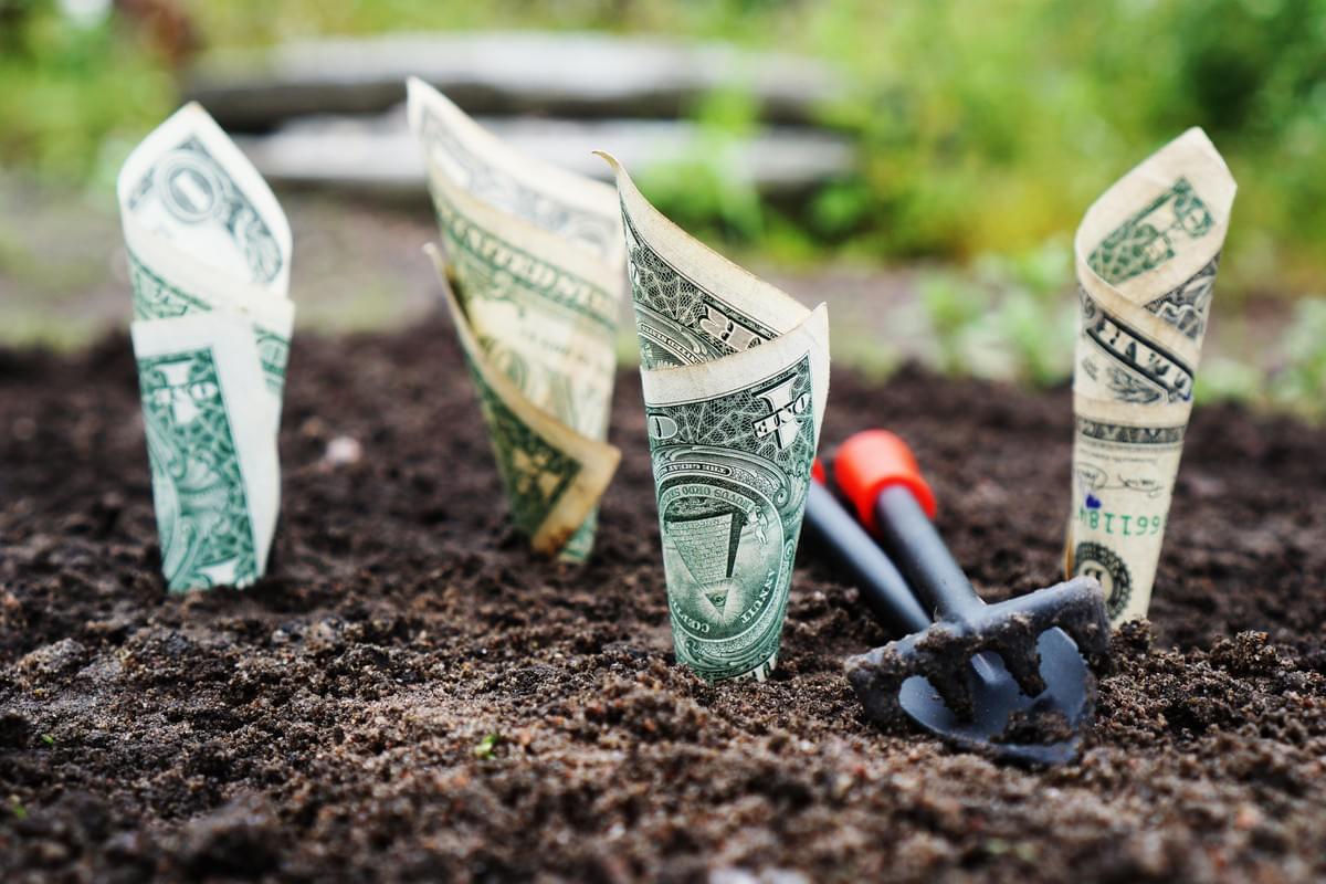 Money makes businesses grow. Money makes businesses grow.
