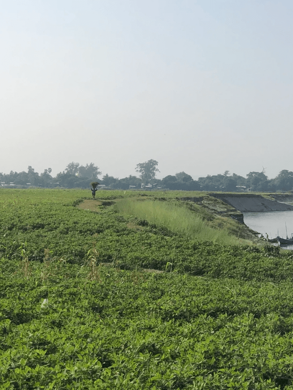 Femme au panier qui marche le long du fleuve Femme au panier qui marche le long du fleuve