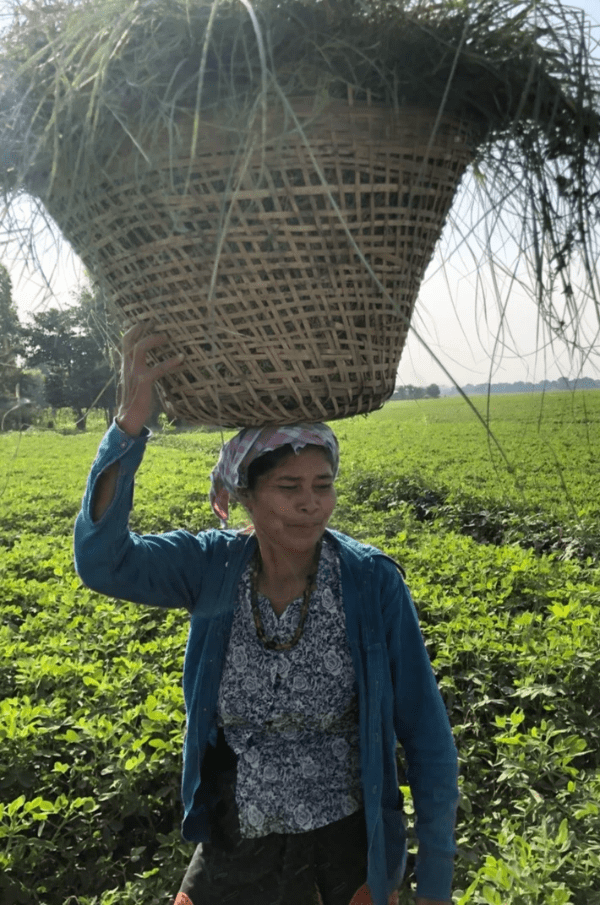 Femme portant un panier sur la tete Femme portant un panier sur la tete