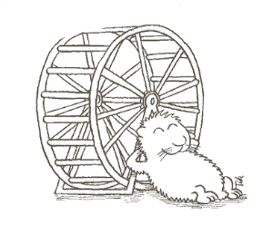 Sortir des conditionnements et schémas de répétition comme le hamster qui sort de la roue Sortir des conditionnements et schémas de répétition comme le hamster qui sort de la roue