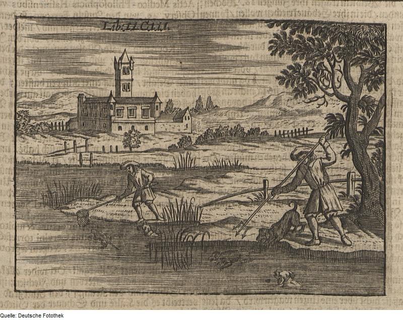 POLOWANIE NA BOBRY, źródło: https://pl.wikipedia.org/wiki/Plik:Fotothek_df_tg_0007802_Jagdwesen_%5E_Nagetier.jpg POLOWANIE NA BOBRY, źródło: https://pl.wikipedia.org/wiki/Plik:Fotothek_df_tg_0007802_Jagdwesen_%5E_Nagetier.jpg