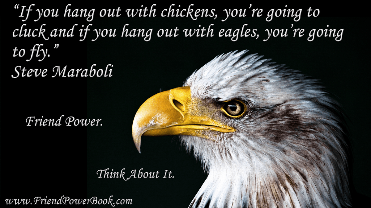 "If you hang out with chickens" quote from Friend Power book by Author, Stephanie Scheller "If you hang out with chickens" quote from Friend Power book by Author, Stephanie Scheller