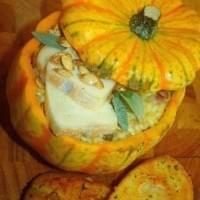 Squash Risotto with Gin & Taleggio Cheese Squash Risotto with Gin & Taleggio Cheese