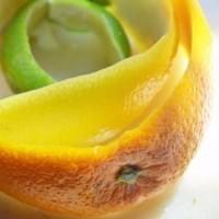 Citrus Gin Citrus Gin