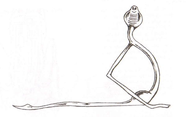 Posture du cobra illustrée Posture du cobra illustrée