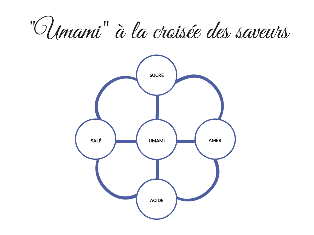 "Umami" à la croisée des saveurs "Umami" à la croisée des saveurs