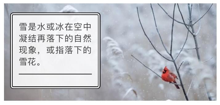 小雪,那一年的一场雪 小雪,那一年的一场雪
