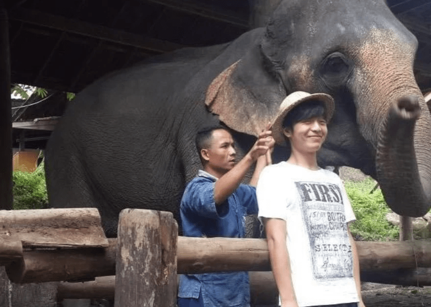 タイに行った時に象の隣で撮った写真 タイに行った時に象の隣で撮った写真