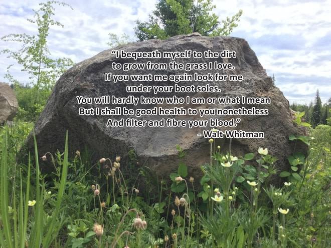 Walt Whitman quote, photo Nicola Finch Walt Whitman quote, photo Nicola Finch