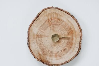 Photo by Rachel Pfuetzner on Unsplash. Photo by Rachel Pfuetzner on Unsplash.