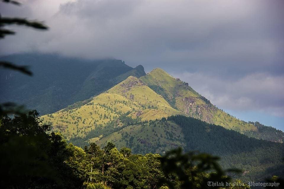 srilankareisen.lk Nuwara Eliya srilankareisen.lk Nuwara Eliya
