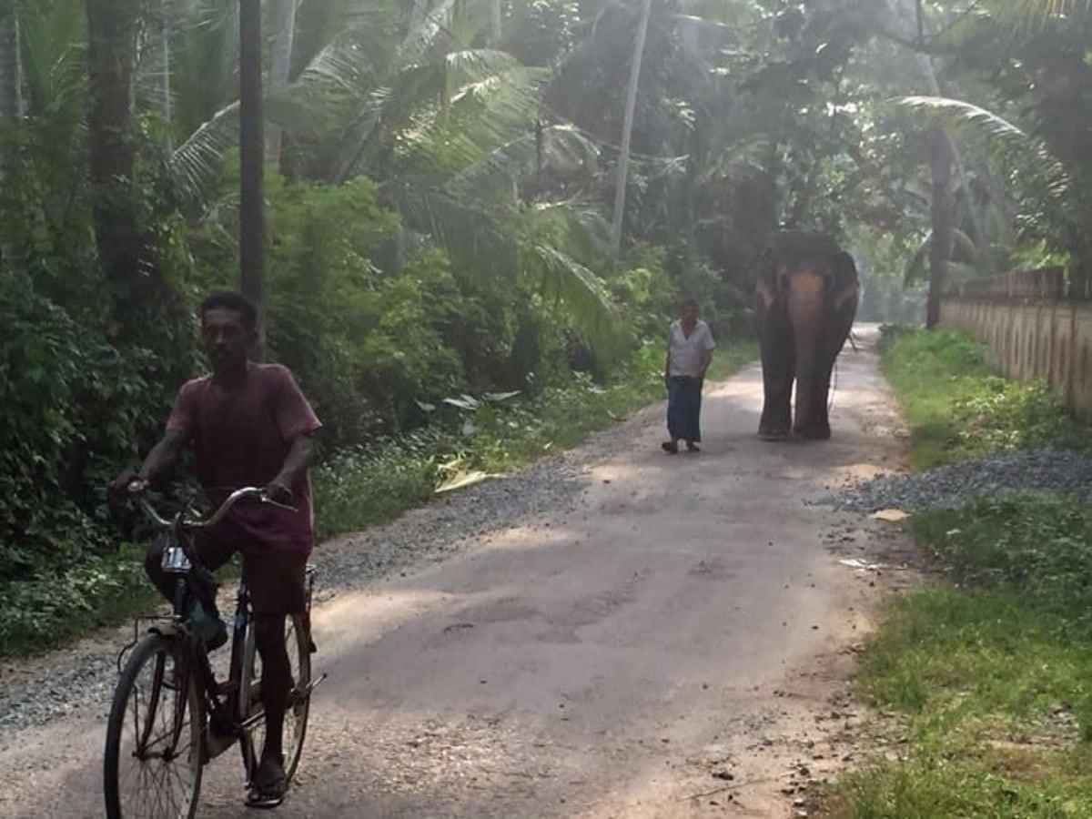 srilankareisen.lk Round trip Nature & Culture srilankareisen.lk Round trip Nature & Culture