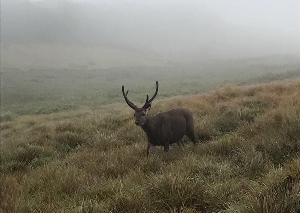 srilankareisen.lk Horton Plains National Park Sri Lanka srilankareisen.lk Horton Plains National Park Sri Lanka