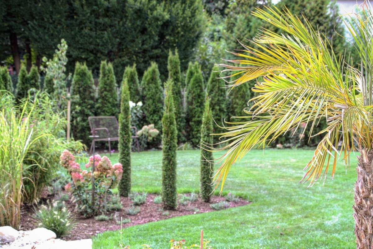 Jetzt Ist Gartenzeit Garten Thema Des Monats
