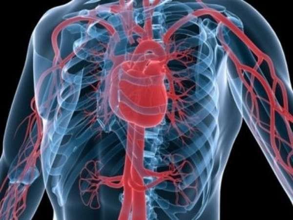 Jeûne intermittent - prévient les maladies cardiovasculaires Jeûne intermittent - prévient les maladies cardiovasculaires