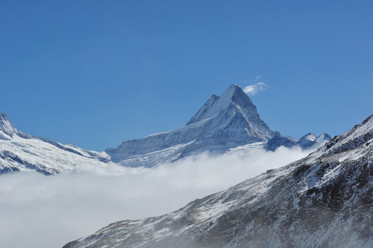 スイス、グリンデルワルトの山。トレッキングするも空気が薄くてしんどかったです。 スイス、グリンデルワルトの山。トレッキングするも空気が薄くてしんどかったです。