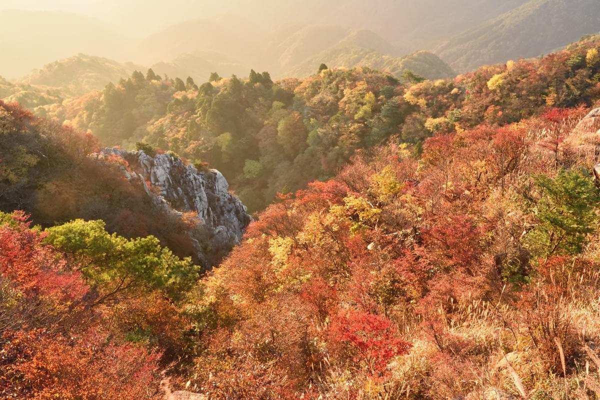 朝日、紅葉進む鈴鹿山脈鎌が岳山頂から。 朝日、紅葉進む鈴鹿山脈鎌が岳山頂から。