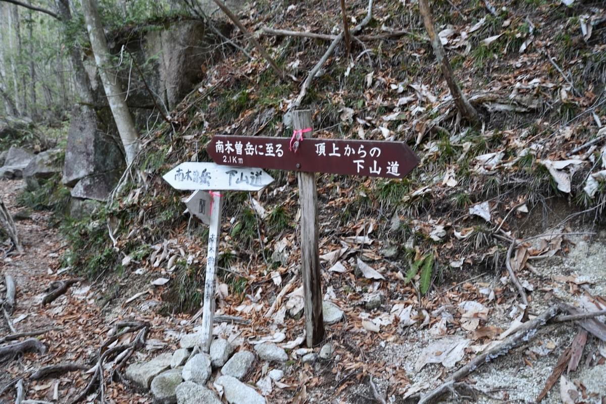 登りの道と下りの道の合流点。ここは左へ。 登りの道と下りの道の合流点。ここは左へ。