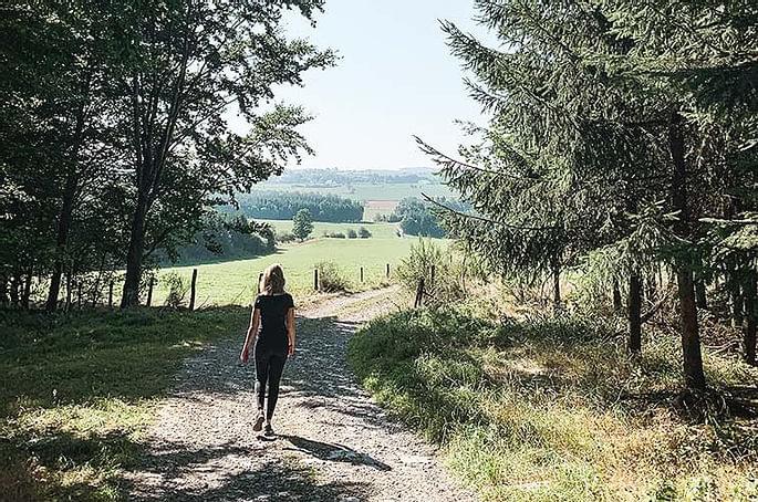 Wandelen in de Ardennen Wandelen in de Ardennen