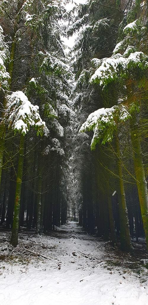 Bijzonderplekje in de Ardennen bij Houffalize Bijzonderplekje in de Ardennen bij Houffalize